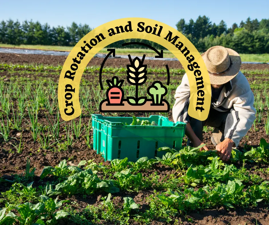 Crop Rotation and Soil Management