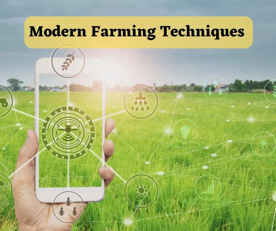 Modern Farming Techniques