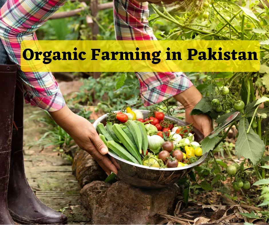 Organic Farming in Pakistan